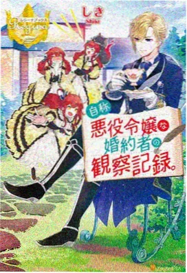 星屑邮差 动漫在线观看完整版海报