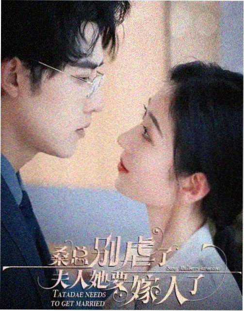 北纬四十度 剧集在线观看完整版海报